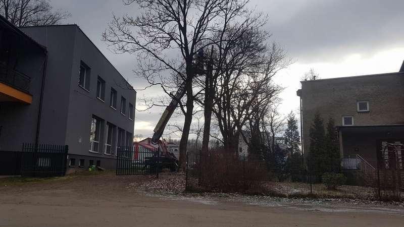 Niebezpieczne drzewa znikną z krajobrazu Zembrzyc