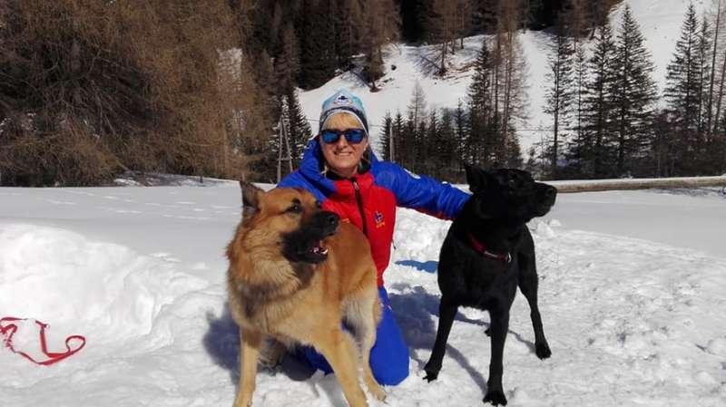 Beskidzkie psy GOPR docenione w Alpach