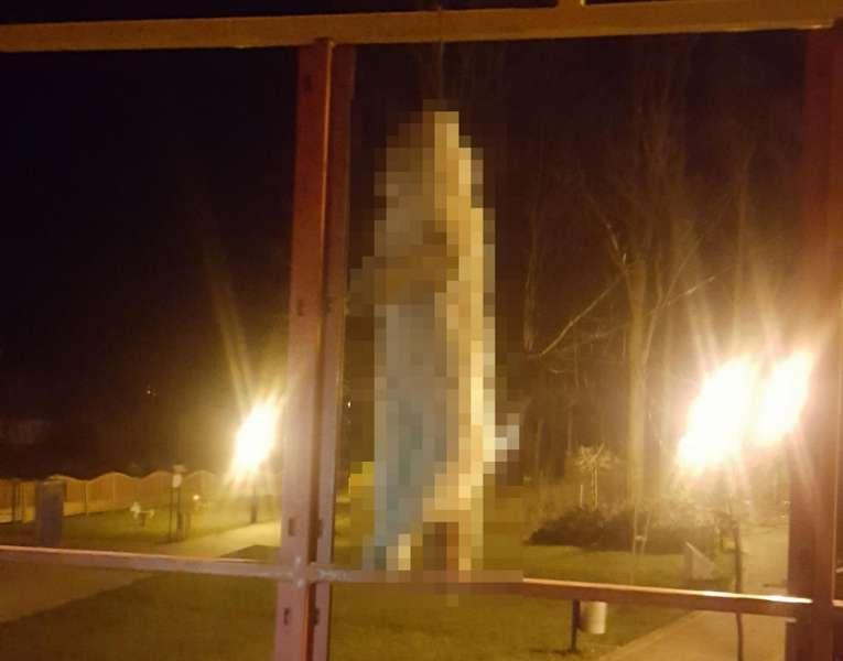 Sidzina. Ktoś powiesił kota na drucie na przystanku autobusowym...