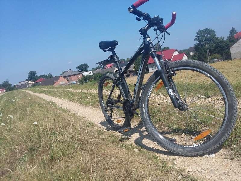 Coraz więcej rowerzystów ginie na drogach