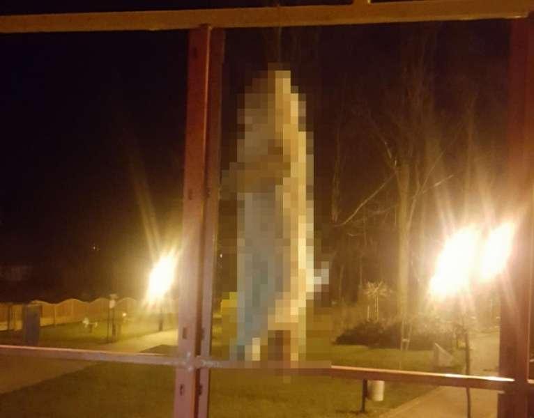 Policjanci zatrzymali dwóch mężczyzn, którzy powiesili kota na jednym z przystanków w Sidzinie