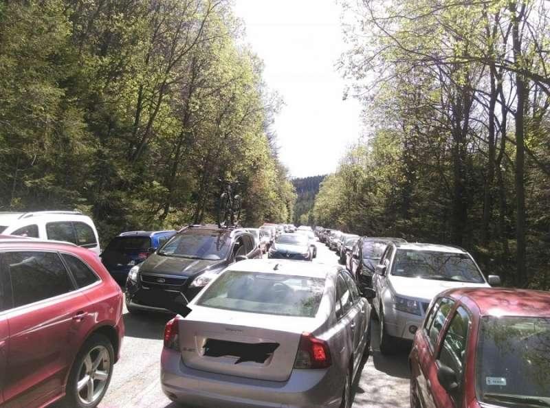 Krowiarki. Nie ma recepty na niedzielnych kierowców