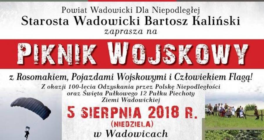 Tak dużej imprezy patriotycznej w Wadowicach jeszcze nie było