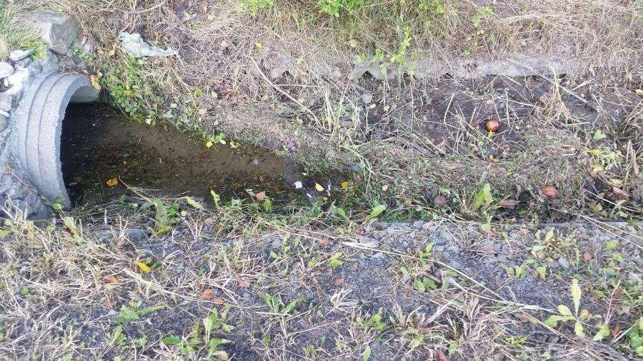 Muł podbiera drogę w Tarnawie Górnej