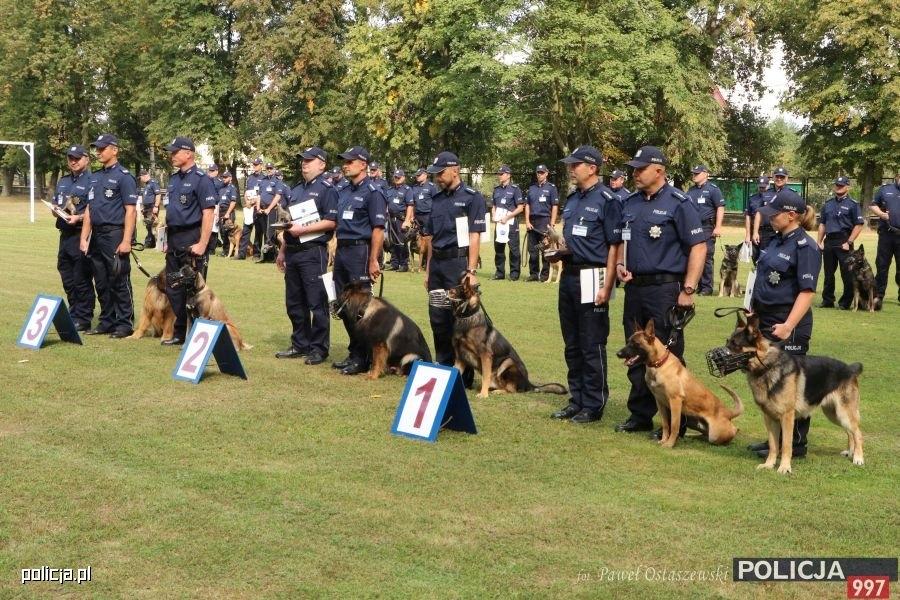 Sukces czworonożnego policjanta i jego przewodnika