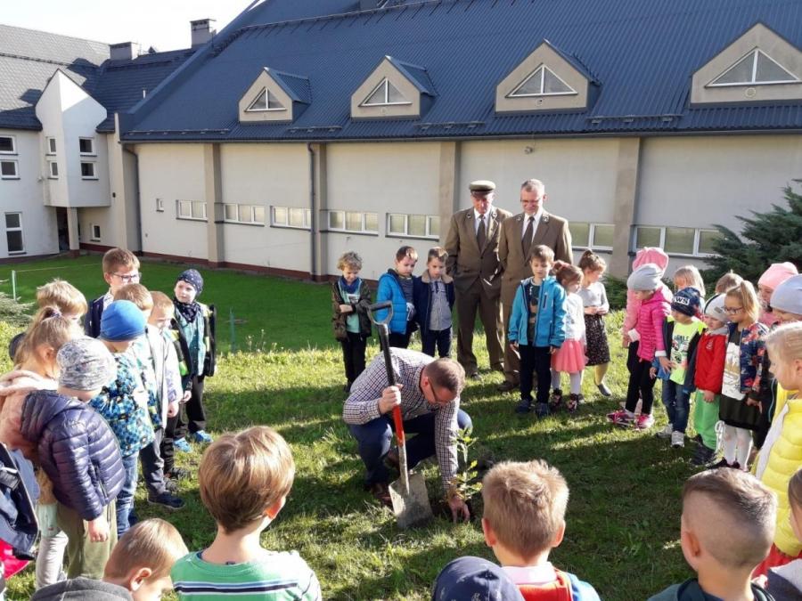 Suskie drzewa upamiętnią 100 lat niepodległości