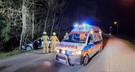 Z impetem wjechał w drzewo