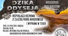 Dzika Odyseja w Babiogórskim Parku Narodowym 