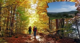 Piknik Integracyjny w Suchej Beskidzkiej już 19 października   