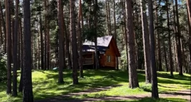Dom przy lesie lub w górach – jak radzić sobie z kurzem, piaskiem i sierścią w powiecie suskim?
