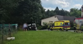 Samochód dostawczy uderzył w drzewo