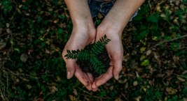 Najpopularniejsze urządzenia do pozyskiwania energii ze źródeł odnawialnych - poradnik