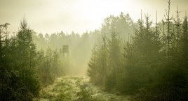 Termowizja myśliwska - jaką wybrać?