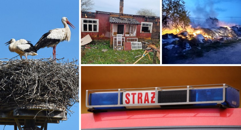 Strażacy podsumowali długi weekend. Kilka pożarów i martwy bocian
