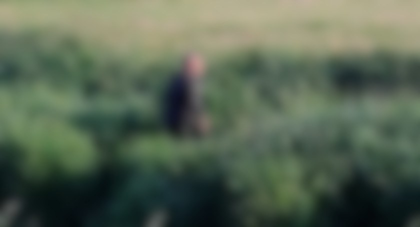 Policjanci szukają sprawcy przestępstwa. Znasz tego mężczyznę? [aktualizacja]