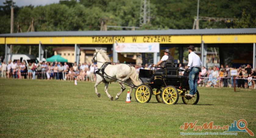 Zaprzęgi konne po raz kolejny będą rywalizować w Czyżewie [PROGRAM]
