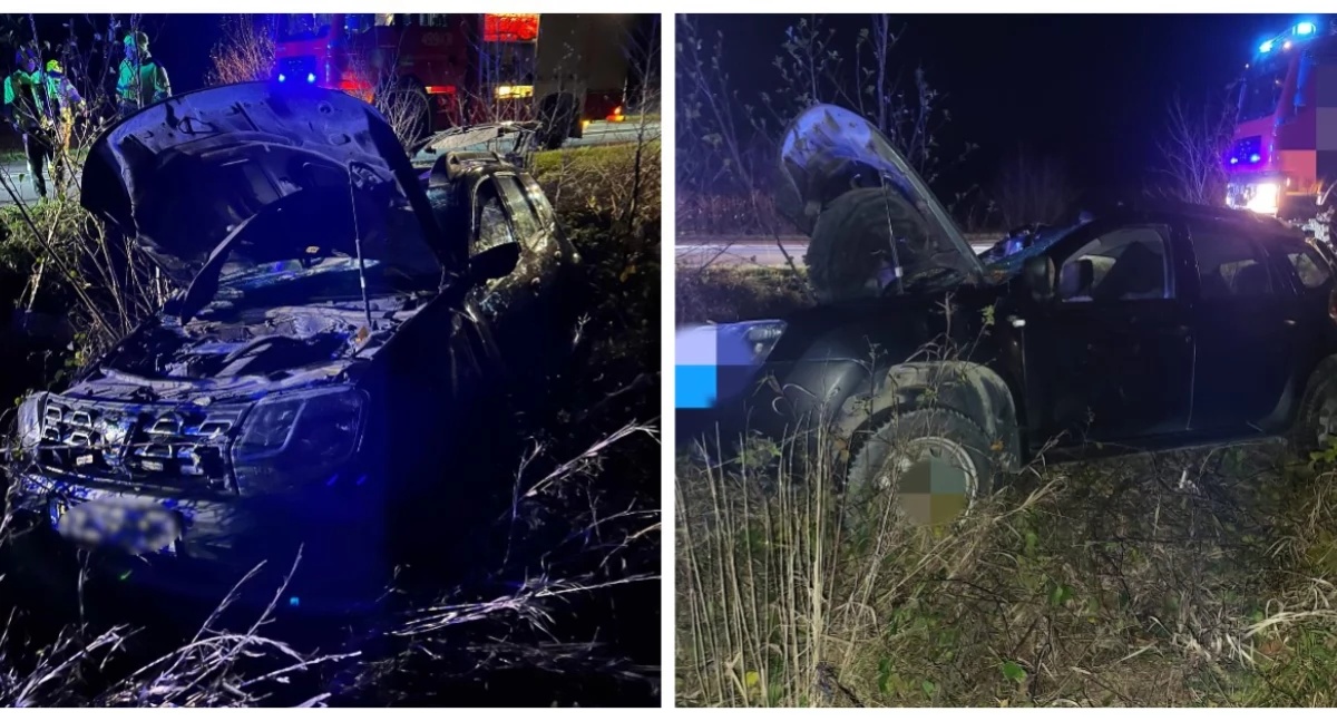 Zderzenie osobówki z łosiem na trasie Wysokie Mazowieckie - Białystok. Zwierzę nie żyje [FOTO]