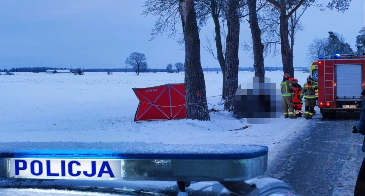 DK63: BWM uderzyło w drzewo. Jedna osoba nie żyje