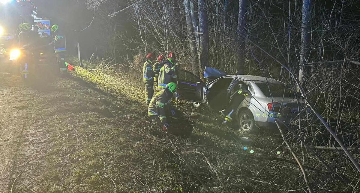Audi uderzyło w drzewo. Dwie osoby z poważnymi obrażeniami trafiły do szpitala [FOTO]