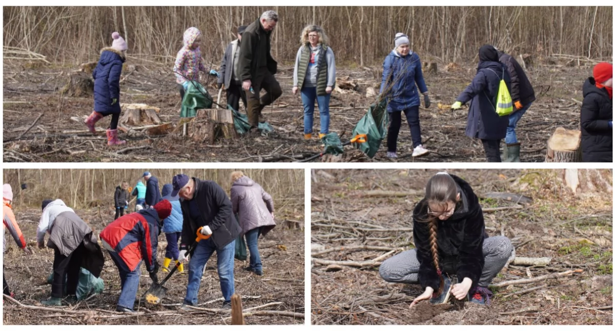 Młodzież i seniorzy wspólnie posadzili las [FOTO + VIDEO]