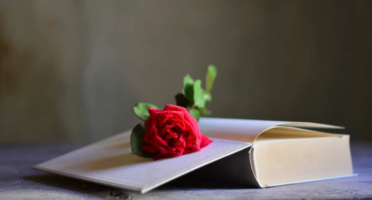 MOK zaprasza na spotkanie z poezją. Najpiękniejsze wiersze przeczyta znana aktorka