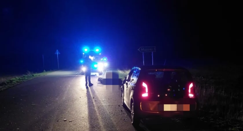 Kolizja z łosiem, nietrzeźwi za kierownicą. Świąteczny weekend w powiecie wysokomazowieckim 