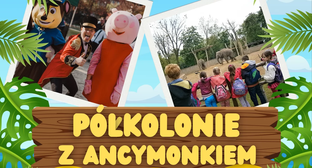 Letnie półkolonie z ANCYMONKIEM! Ruszyły zapisy