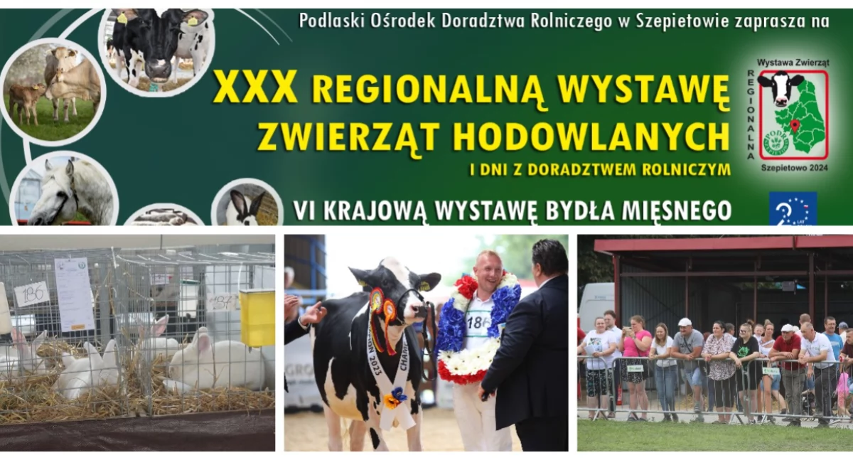 Przed nami XXX Regionalna Wystawa Zwierząt Hodowlanych w Szepietowie [PROGRAM]