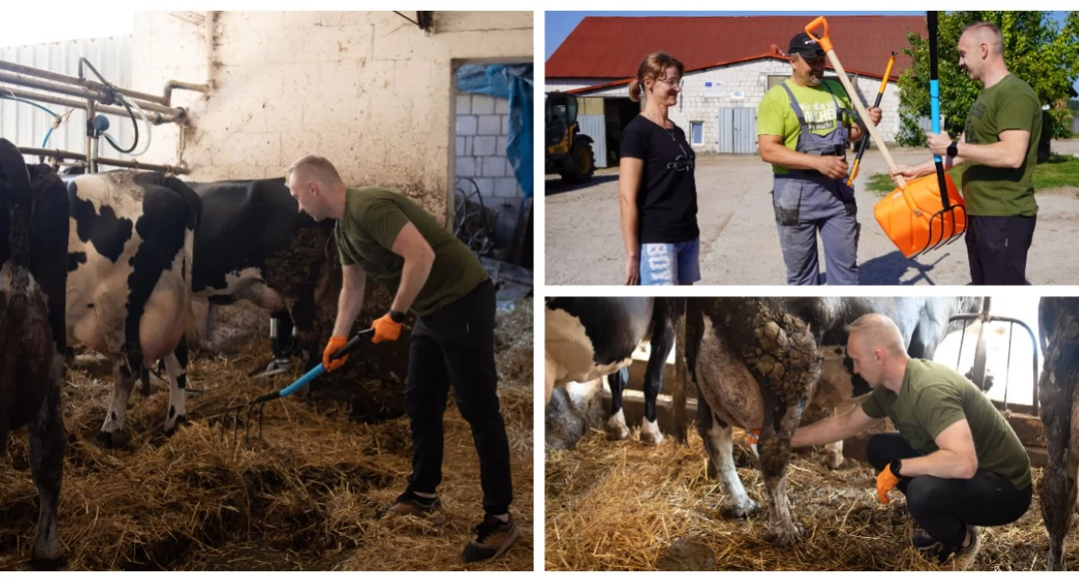 Wójt pracował w gospodarstwie. Licytacja WOŚP zrealizowana [FOTO + VIDEO]