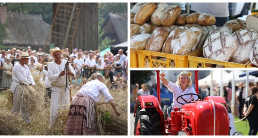 Niebawem XXII Podlaskie Święto Chleba w Ciechanowcu. Gwiazdą wieczoru - Patrycja Markowska [PROGRAM]