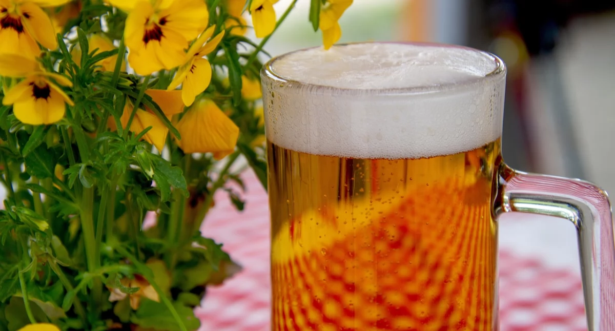 Błąd na linii produkcyjnej. Piwo alkoholowe z etykietami bezalkoholowego. GIS ostrzega