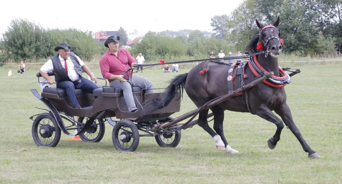 Zaprzęgi konne już po raz trzeci będą rywalizować w Czyżewie [PROGRAM]