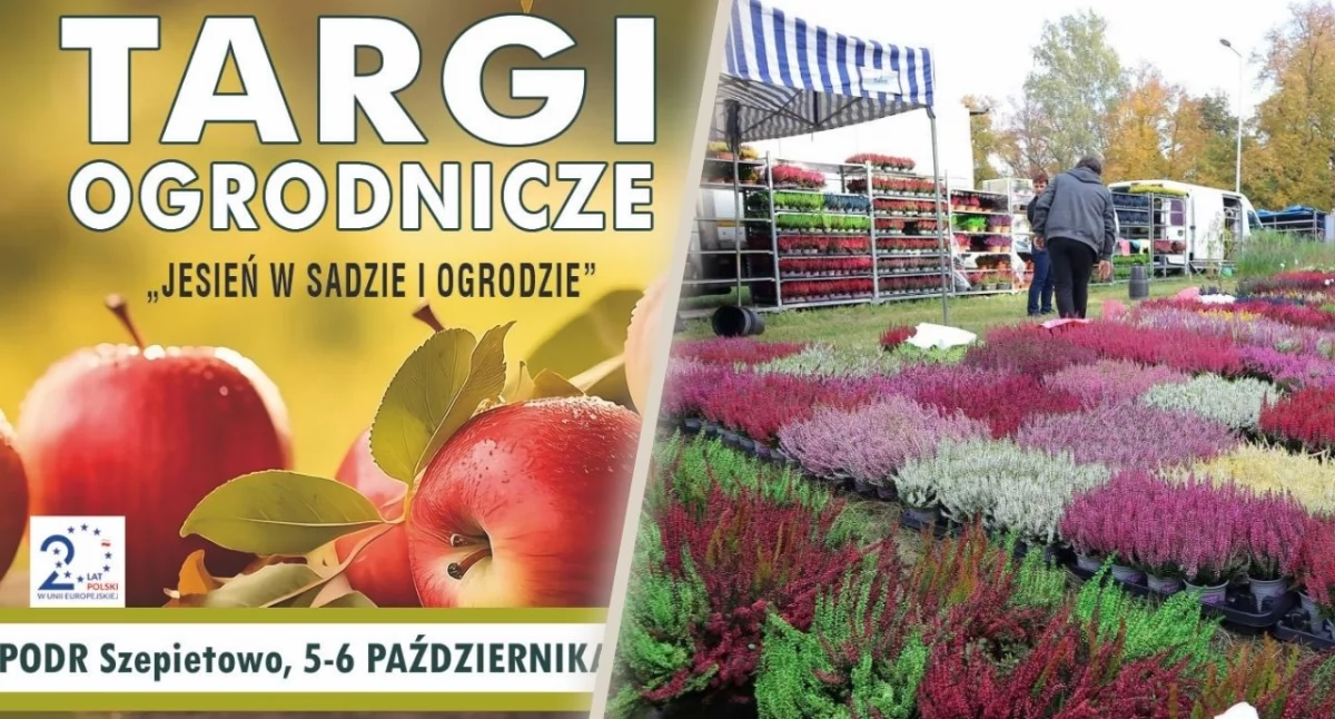 Zbliżają się jesienne targi ogrodnicze w Szepietowie [PROGRAM]