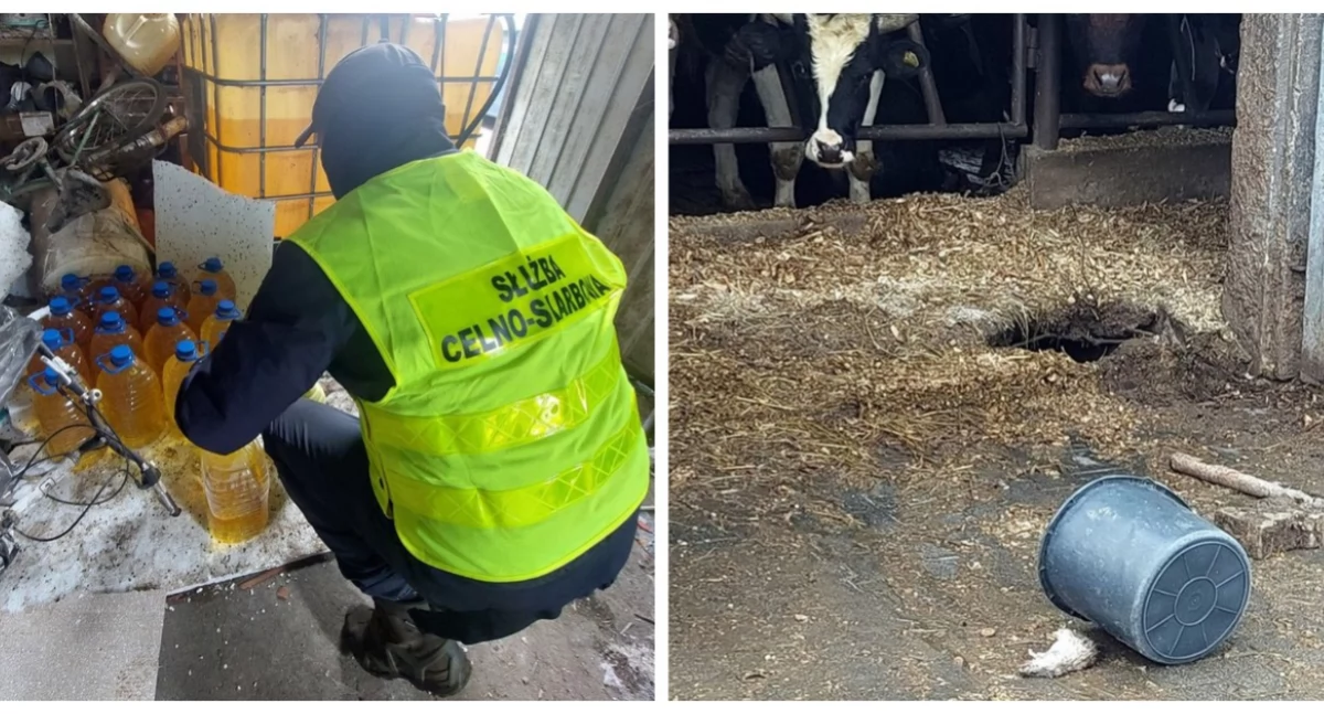 Gmina Klukowo: Nielegalna bimbrownia w oborze zlikwidowana [foto + video]