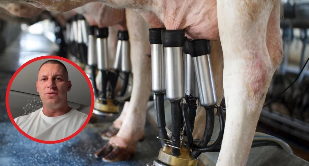 Podlaska Izba Rolnicza oburzona wypowiedziami znanego influencera. Chodzi o produkcję mleka