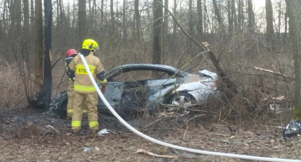Wypadek na DK66: Samochód uderzył w drzewo i stanął w ogniu [foto + video]