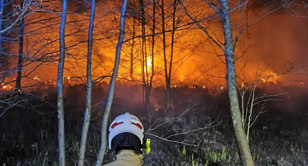 Nocny pożar w gminie Sokoły. Ogień blisko lasu [foto]