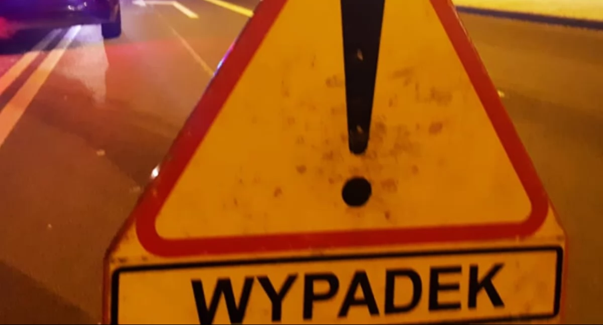 Zderzenie z łosiem na S8 w gminie Kobylin-Borzymy. Jedna osoba w szpitalu