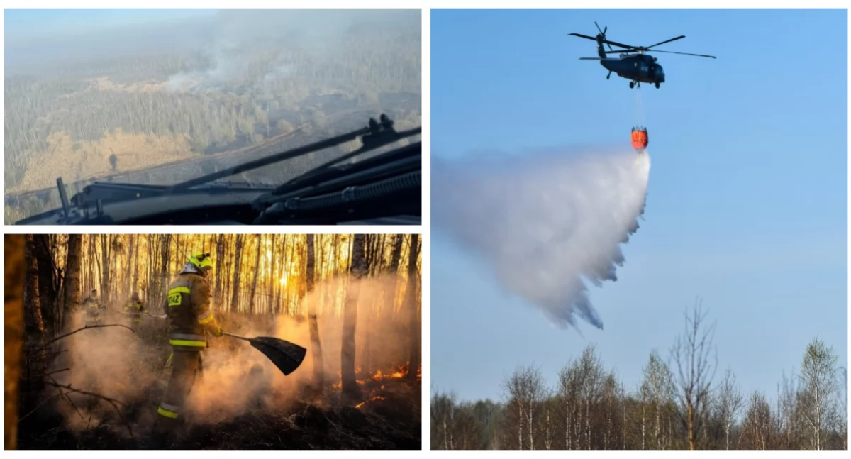 Dogaszanie pożaru w Biebrzańskim Parku Narodowym [foto + video]