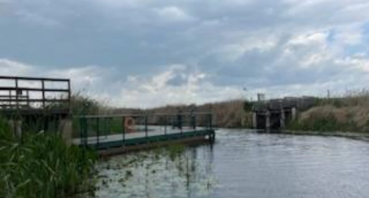 Zamknięta kładka Waniewo – Śliwno. Narwiański Park Narodowy ostrzega: bardzo niski stan wody