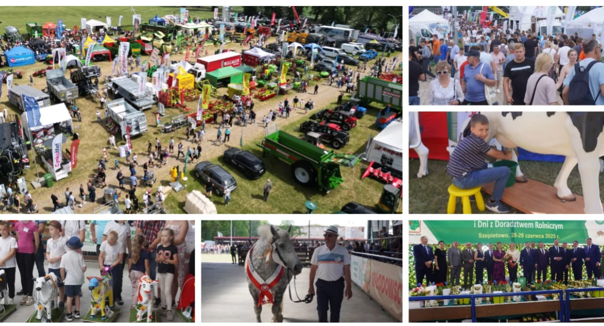 XXXI Wystawa Zwierząt Hodowlanych w Szepietowie – święto rolnictwa za nami [FOTO]