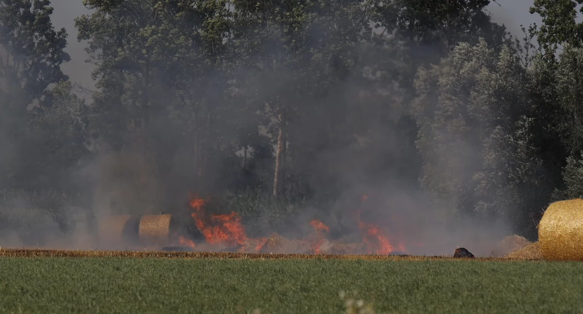 Zboże, kombajn i gałęzie w ogniu. Strażacy interweniowali w gm. Sokoły i Szepietowo