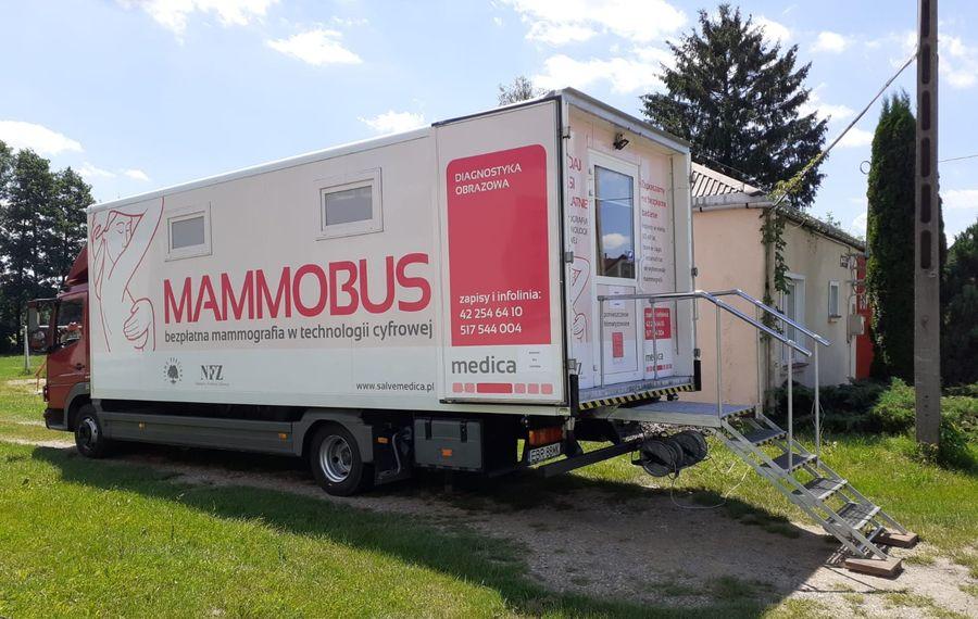 Mammobusy ruszyły w trasę