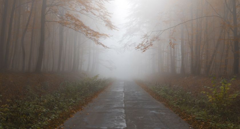 Uwaga na gęste mgły. IMGW wydało ostrzeżenie