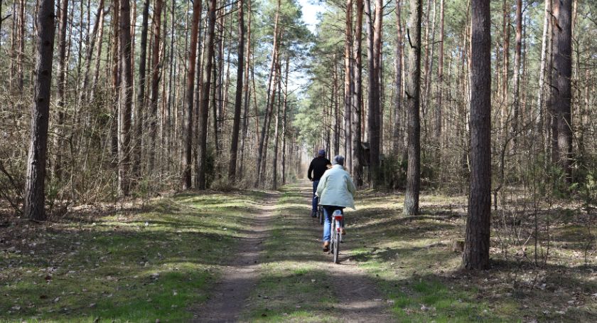 Sześć propozycji miejsc spacerowych na czas epidemii [foto]