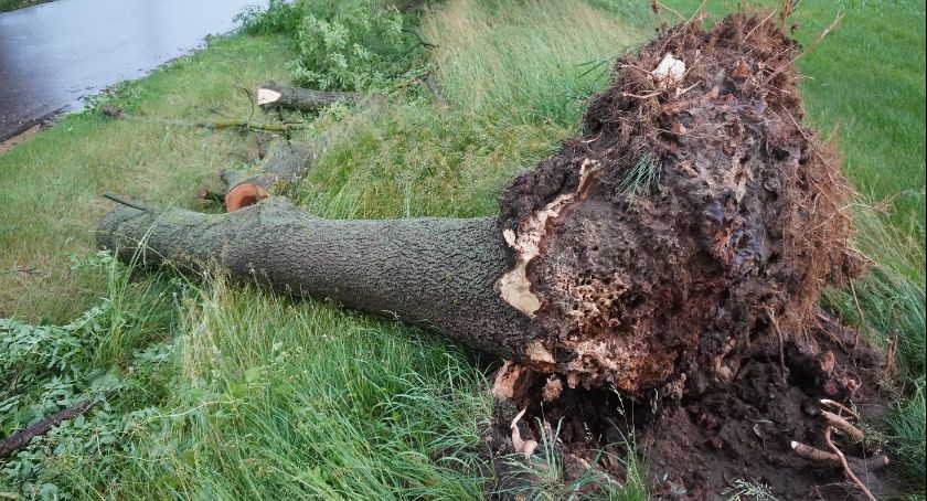 Silna wichura przechodzi przez region. Są zniszczenia 