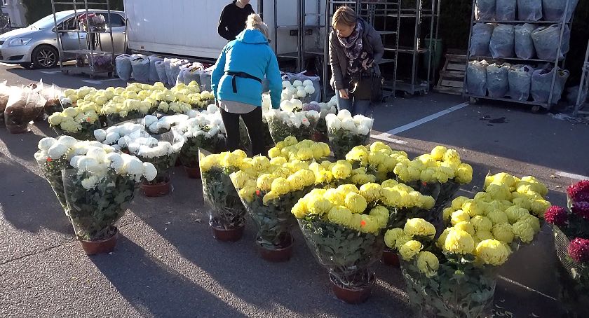 Wszystkich Świętych. Ile kosztują chryzantemy? [FOTO+VIDEO]