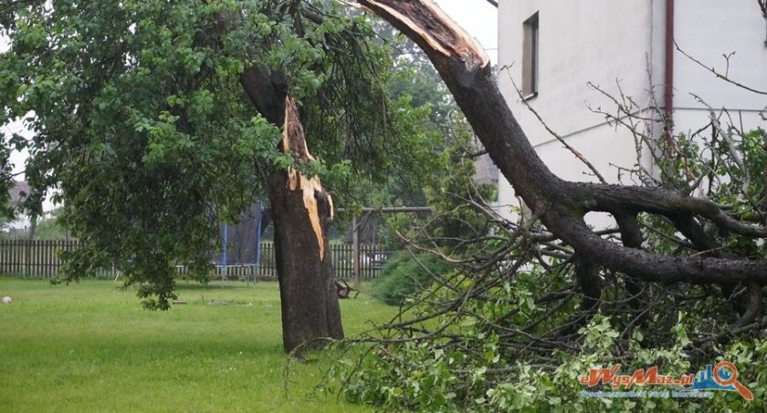 Załamanie pogody w powiecie. Powalone drzewa, uszkodzony budynek, braki prądu [VIDEO+foto]