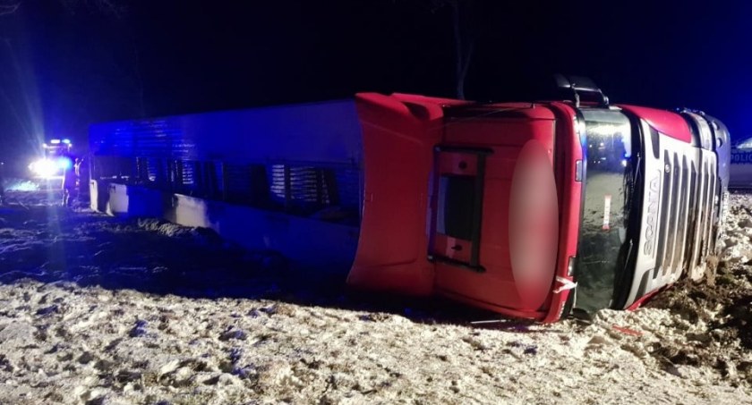 Gmina Szepietowo: TIR z trzodą chlewną w rowie. DK66 zablokowana [FOTO+AKTUALIZACJA]