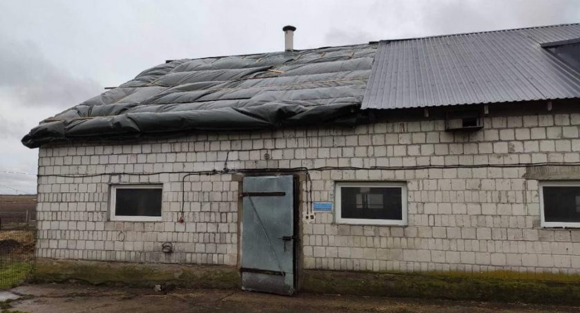 Uszkodzone dachy, połamane drzewa. Skutki silnego wiatru [foto]